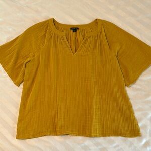 Ann Taylor Factory Gauzy V-neck Popover Top